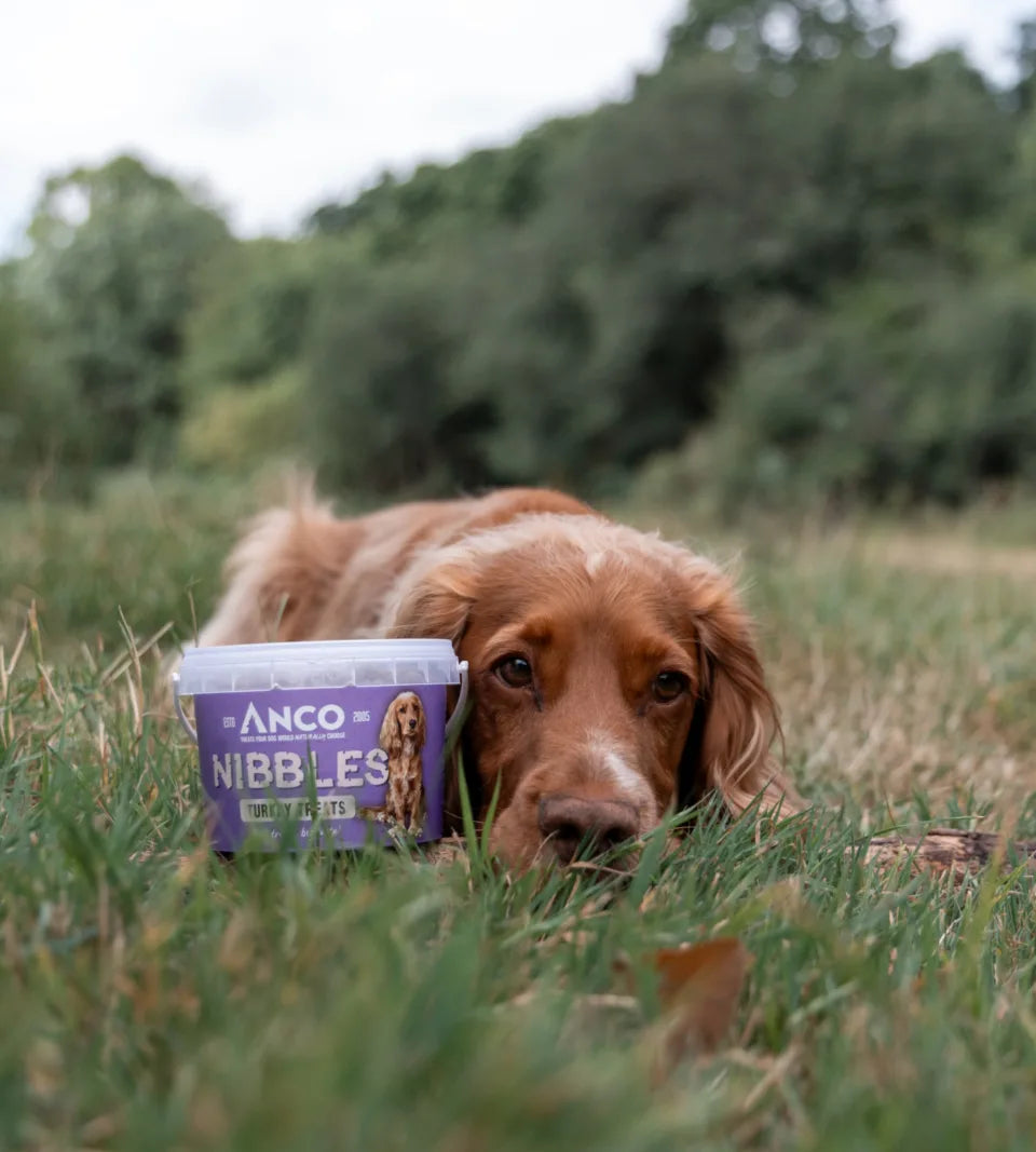 anco-nibbles-turkey-treats-300g