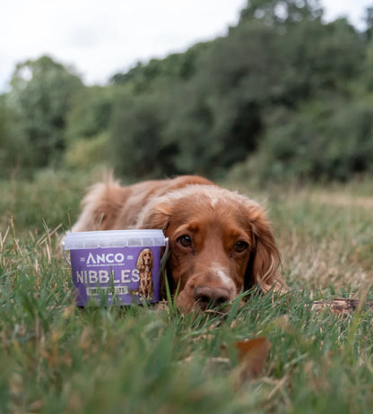 Pawsome Places1