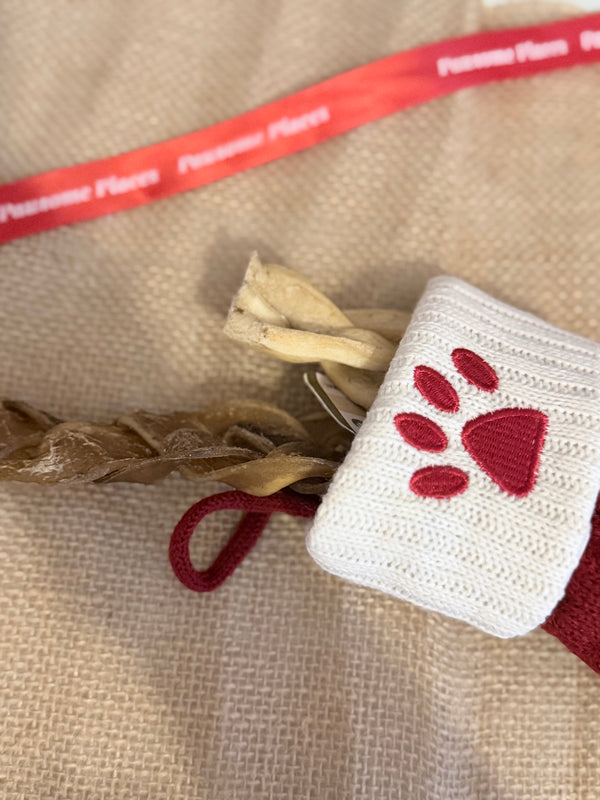 Pawsome Places5