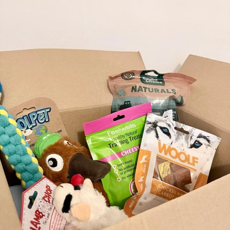 pawsome-dog-mystery-box-treats-toys