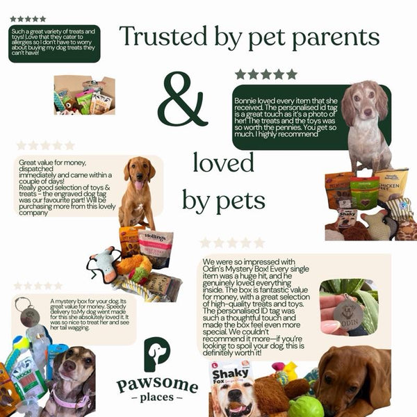Pawsome Places7