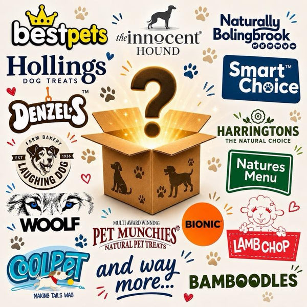 Pawsome Places8