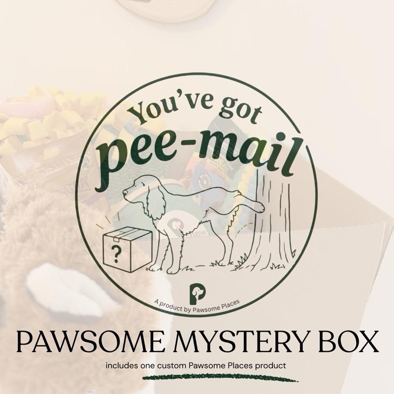pawsome-dog-mystery-box-treats-toys-personalised-pawsome-places-product