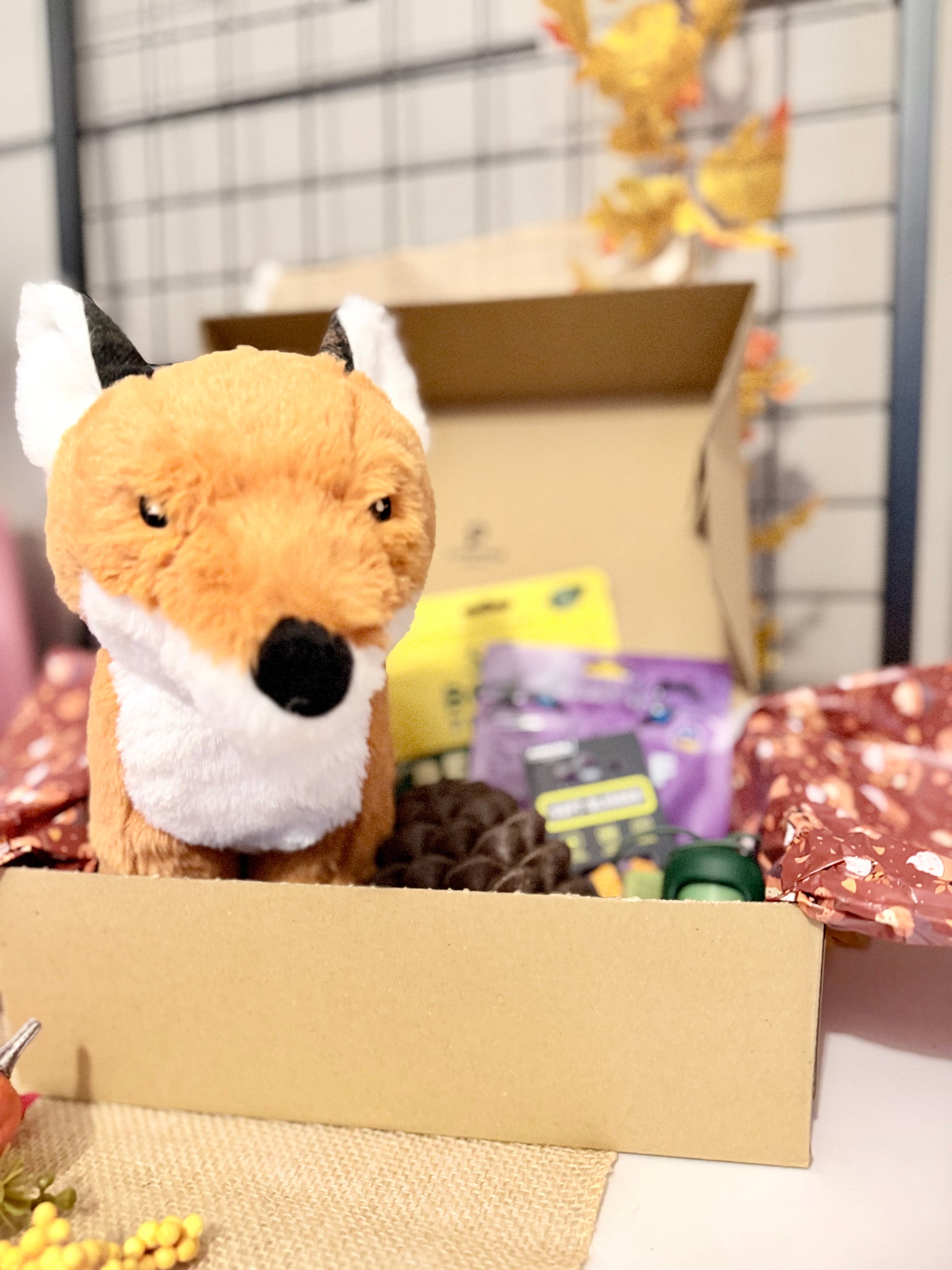 the-september-box-toys-treats-and-autumn-essentials