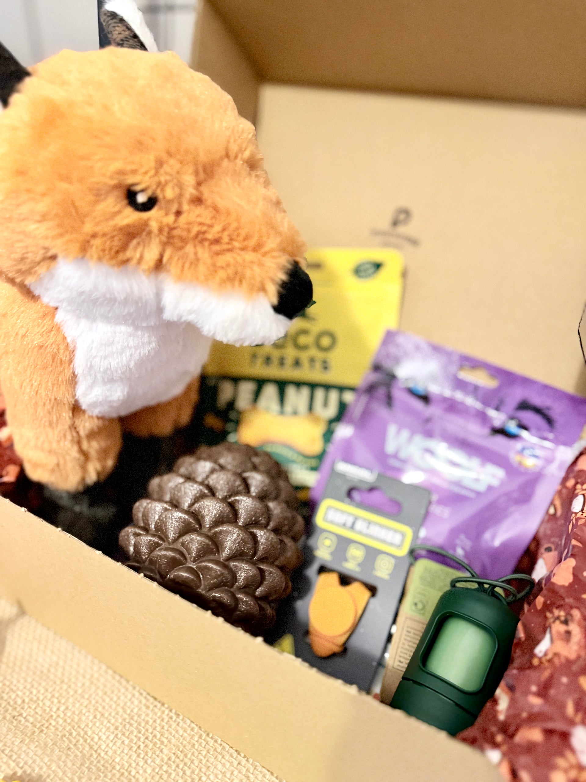 the-september-box-toys-treats-and-autumn-essentials
