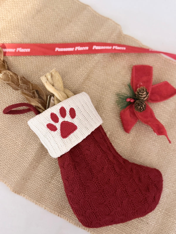 Pawsome Places1
