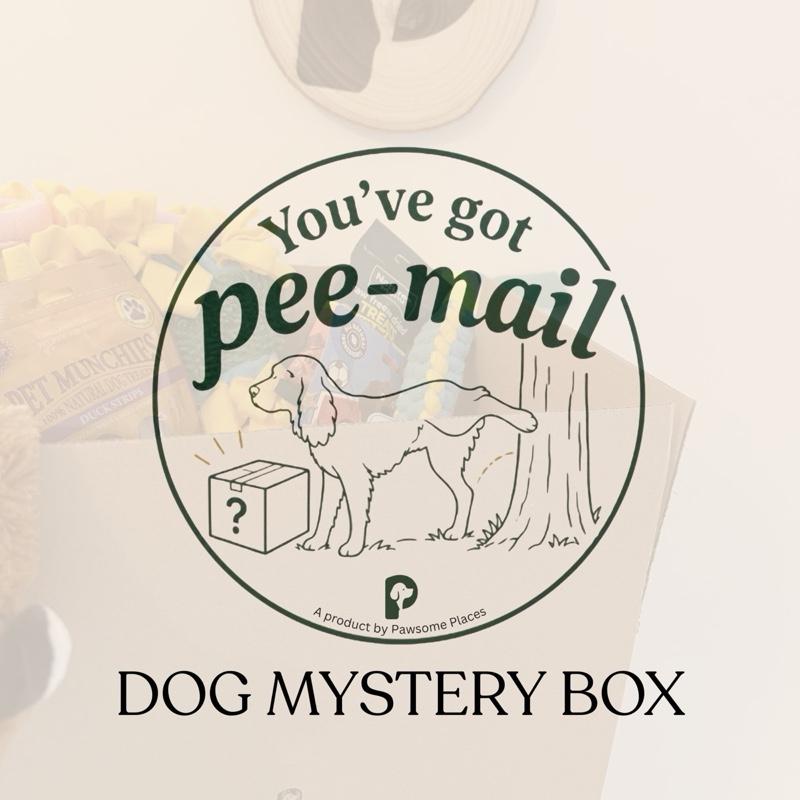pawsome-dog-mystery-box-treats-toys