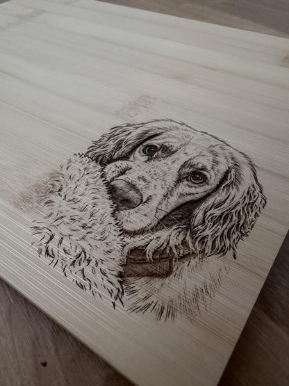 Pawsome Places4