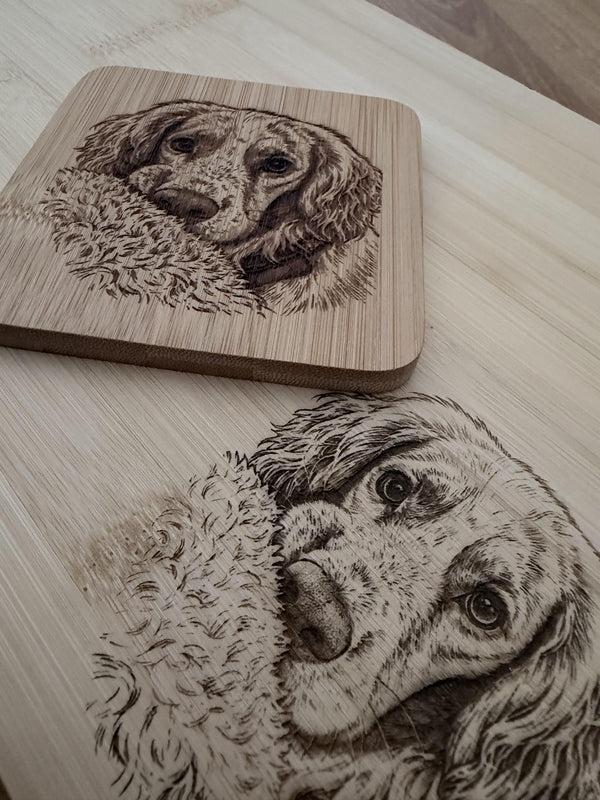 Pawsome Places3