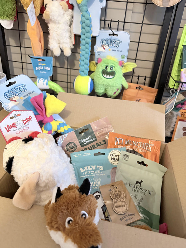 Pawsome Places3