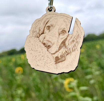 Pawsome Places2
