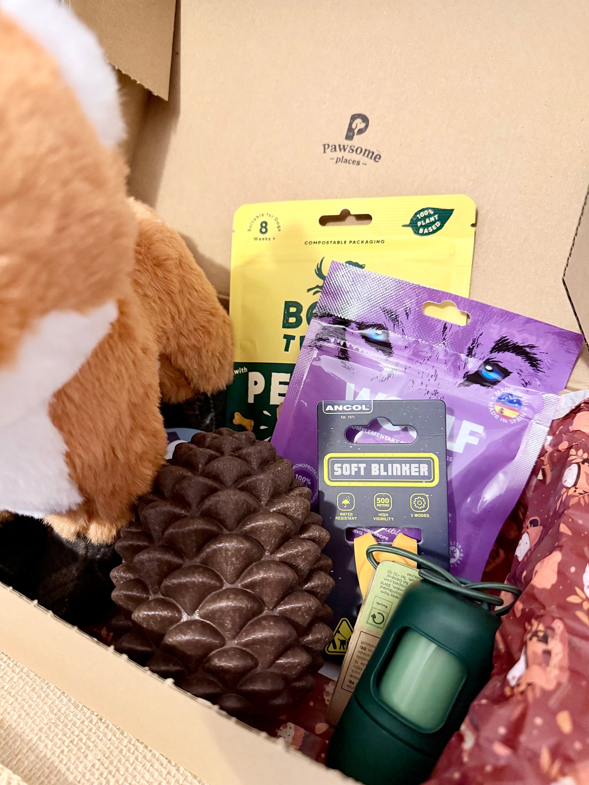 the-september-box-toys-treats-and-autumn-essentials