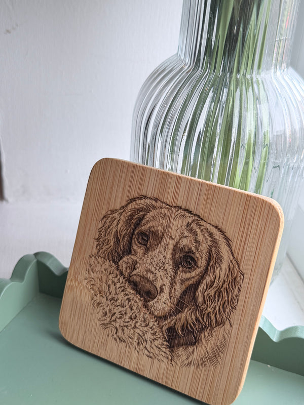Pawsome Places6