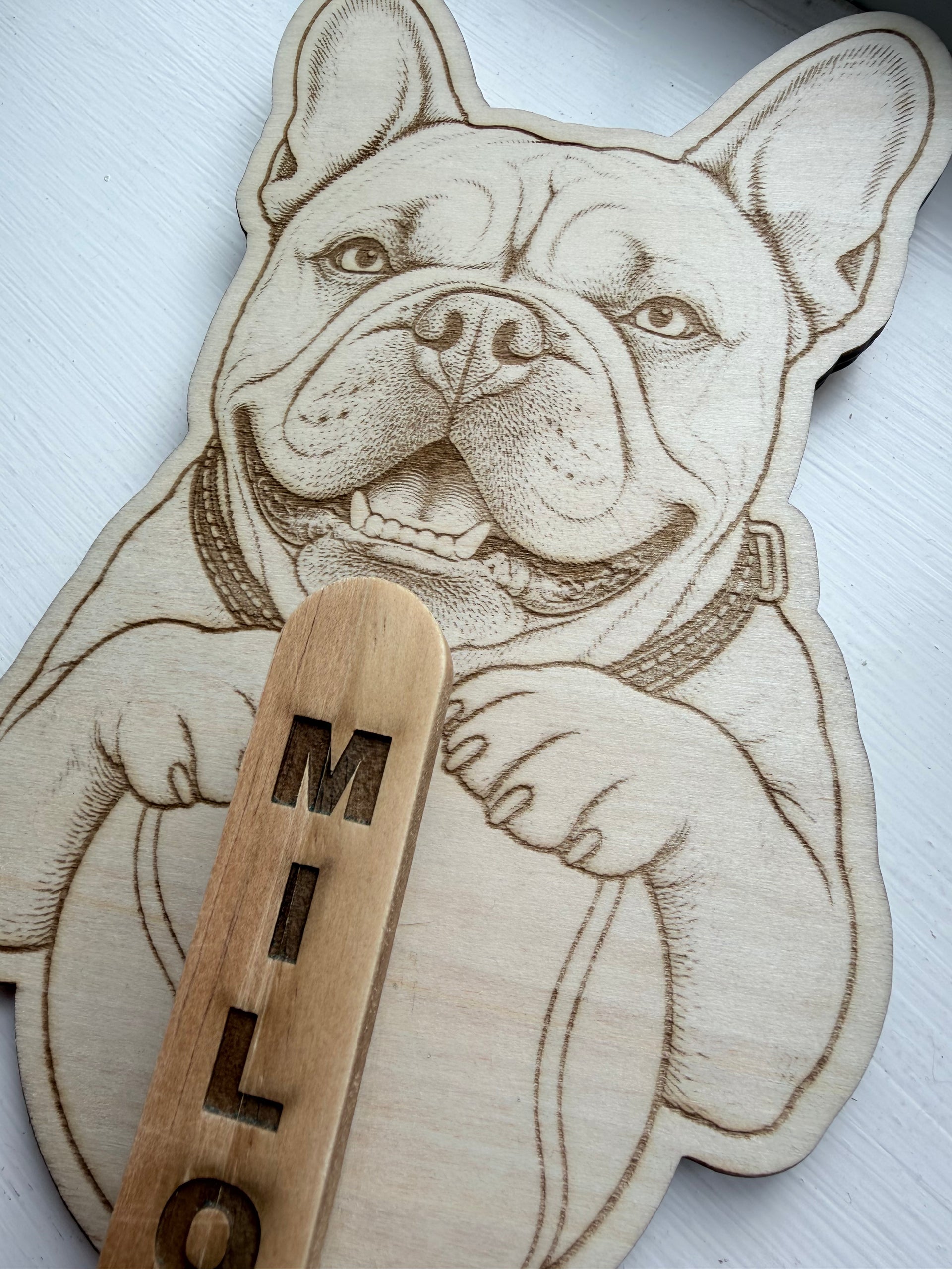 custom-dog-leash-holder