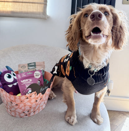 Pawsome Places4