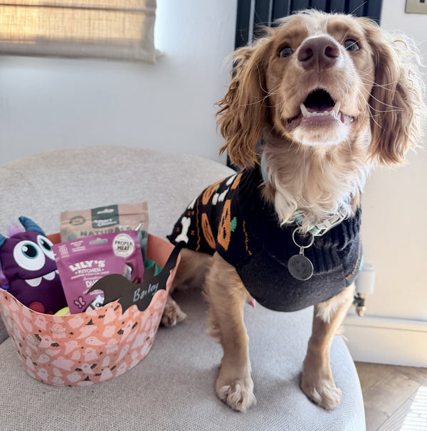 Pawsome Places4