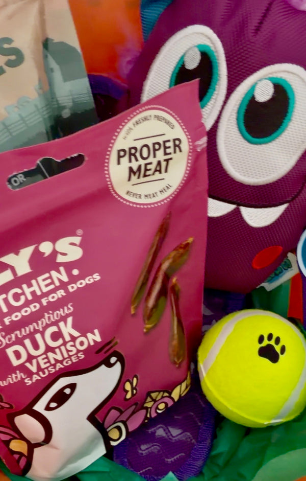 Pawsome Places1