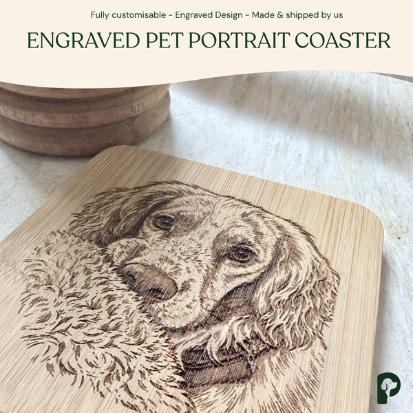 Pawsome Places4