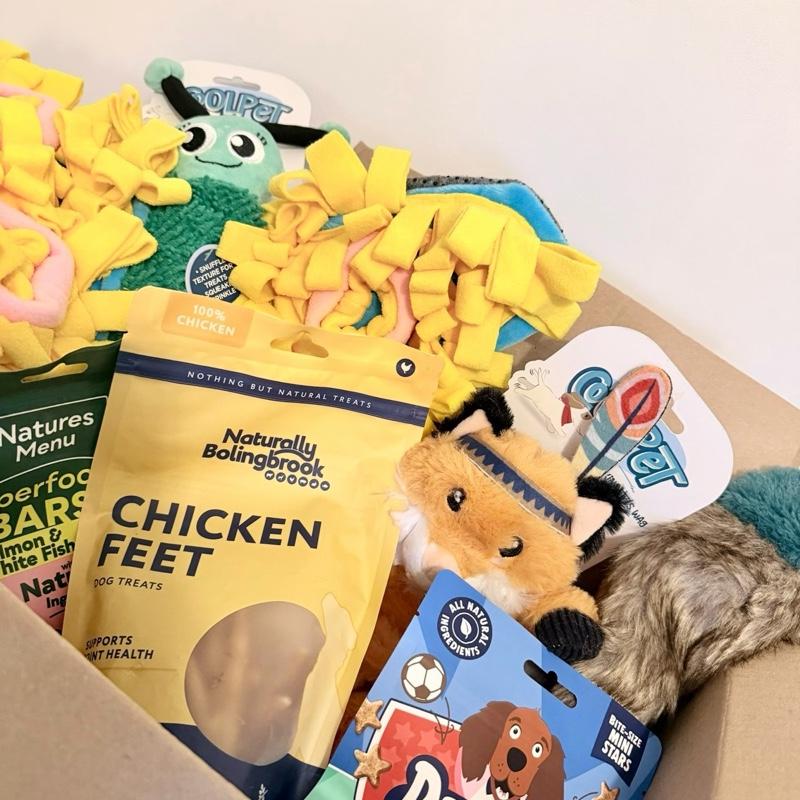 pawsome-dog-mystery-box-treats-toys
