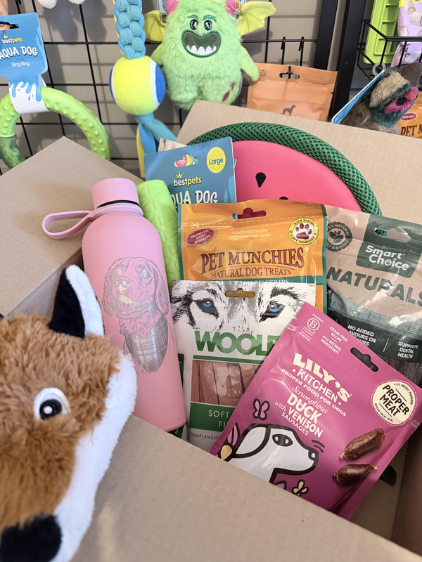 Pawsome Places4