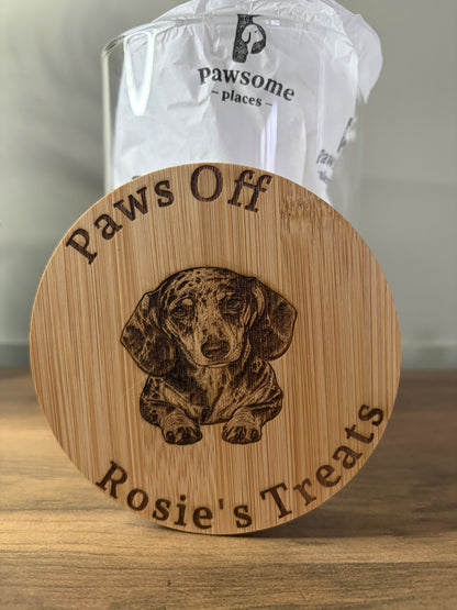 Pawsome Places1