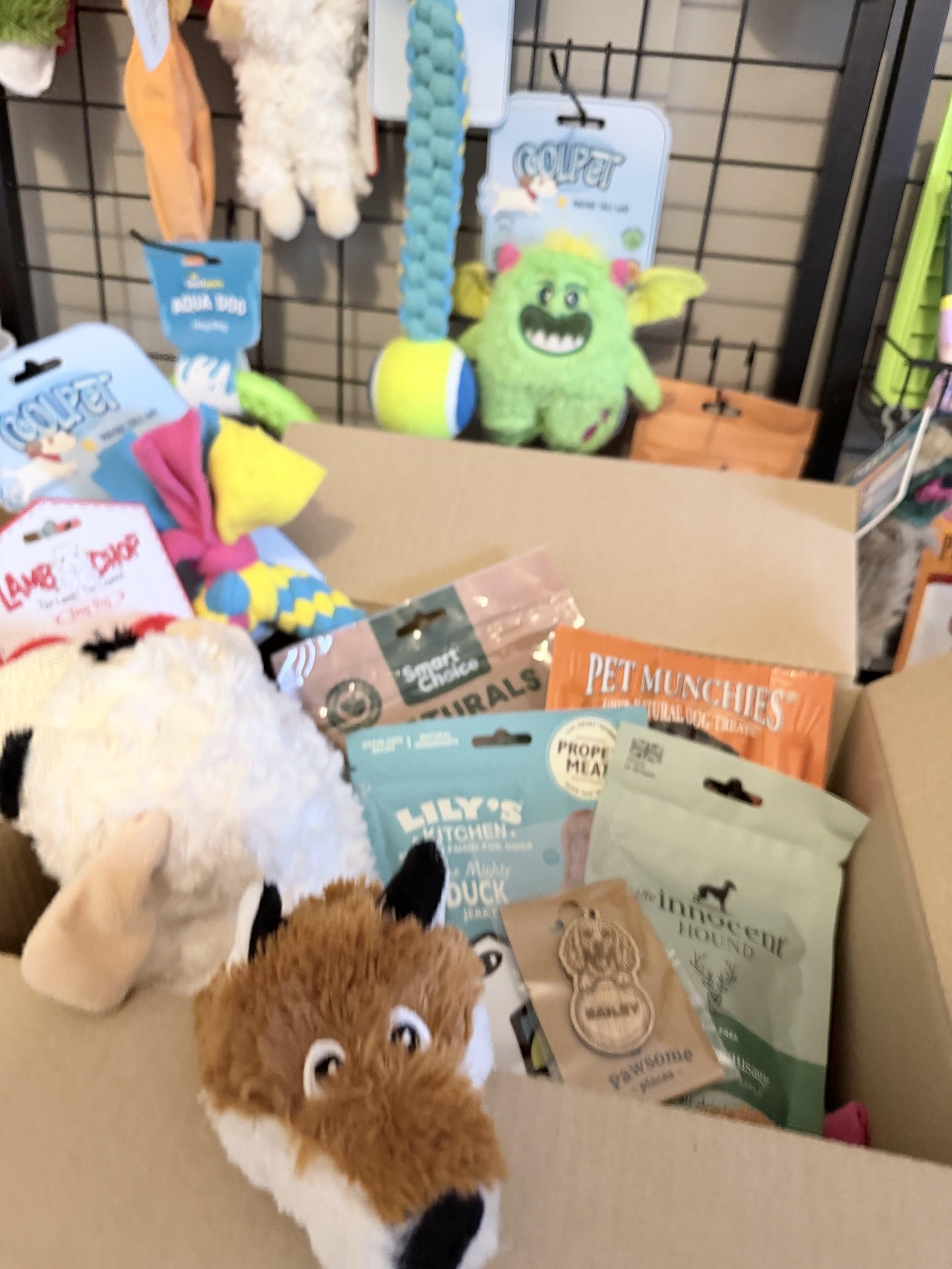 dog-mystery-gift-box-with-toys-treats-personalised-dog-gift