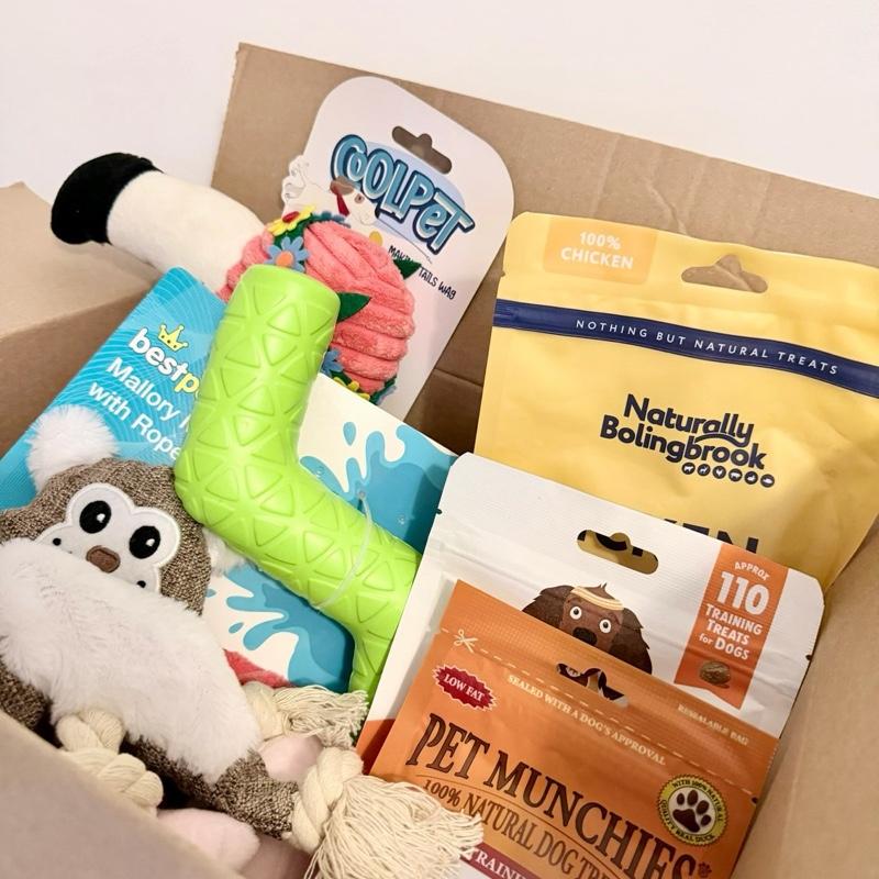 pawsome-dog-mystery-box-treats-toys
