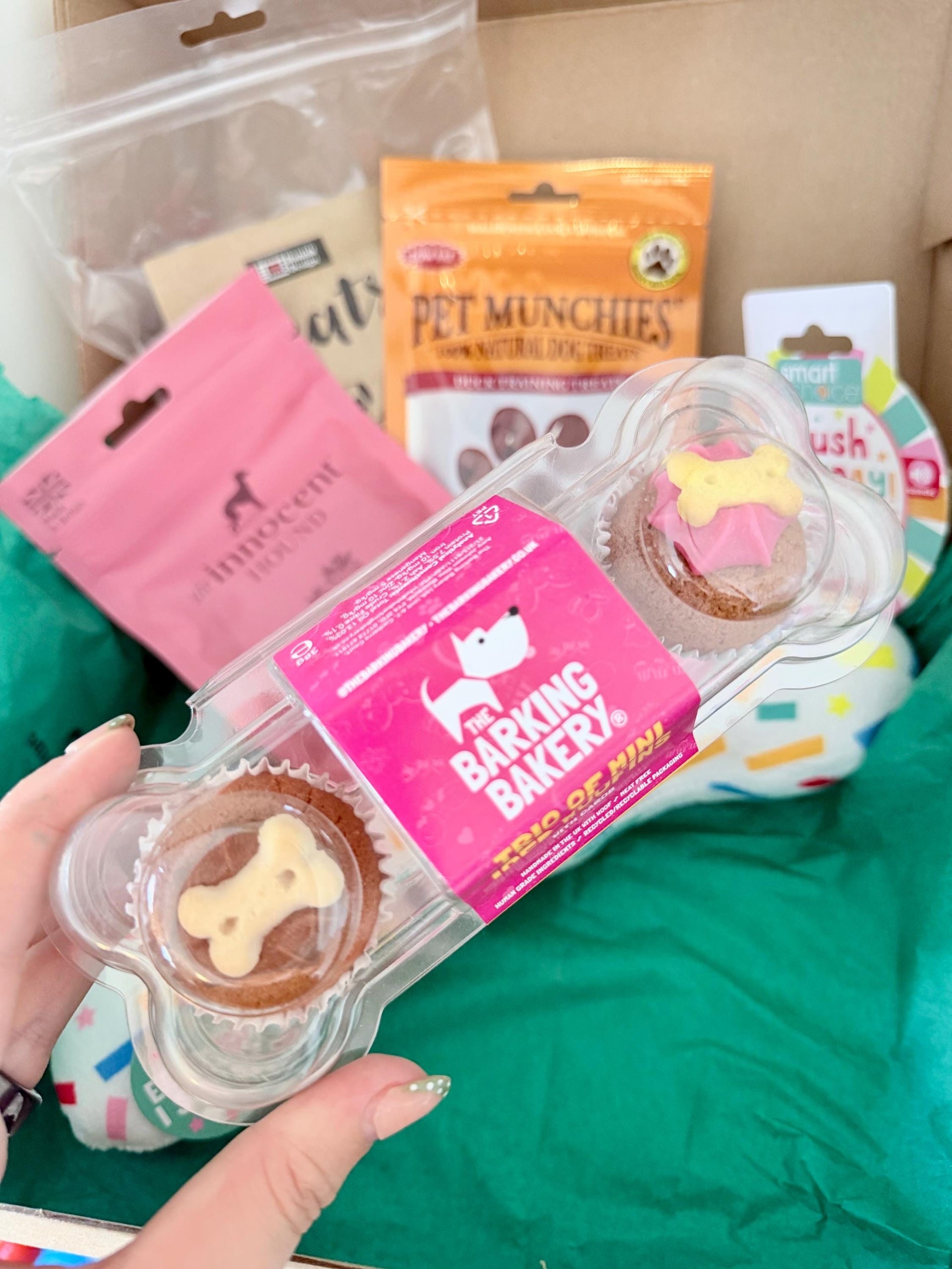 dog-birthday-box-gift-set-celebrate-your-pups-special-day