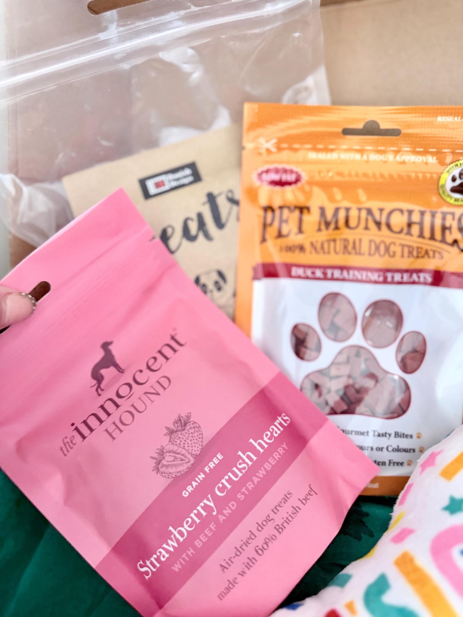 dog-birthday-box-gift-set-celebrate-your-pups-special-day
